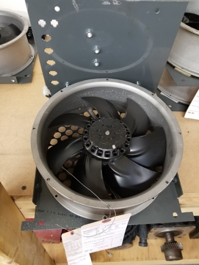Haas Fans