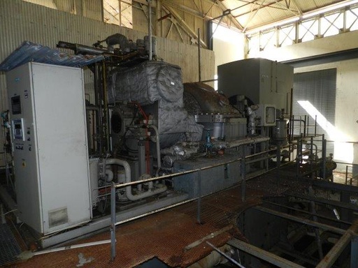 6000/6500 KW, Inlet 290/377 PSIG @ 707/752 DEG. F, 6600 V/3/50 HZ. SIEMENS