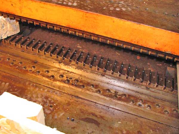 FIN DIE, 1/2 x 1.25 x 1.25 BURR OAK, Staggered 30 Row w/Waffle & Ripple Edge