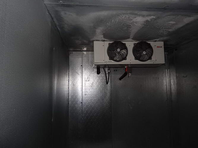 96 x 120 x 96 High CARROLL COOLERS Quick Ship Freezer, 34 x 76-1/4 Opening